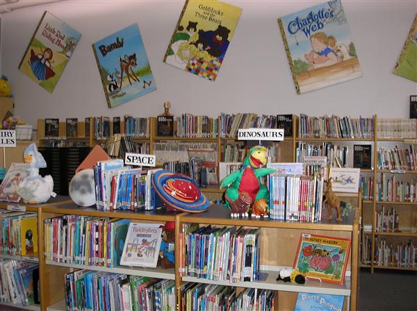 photo of the nonfiction book shelves